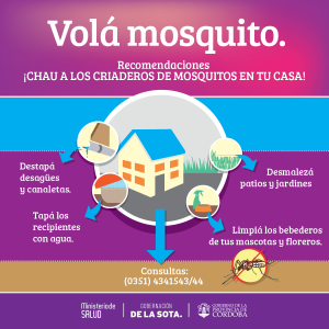 Pieza sugerida para REDES Y SITIOS WEB 2