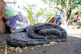 basura de patio deshechos